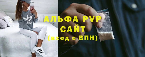 спиды Абаза