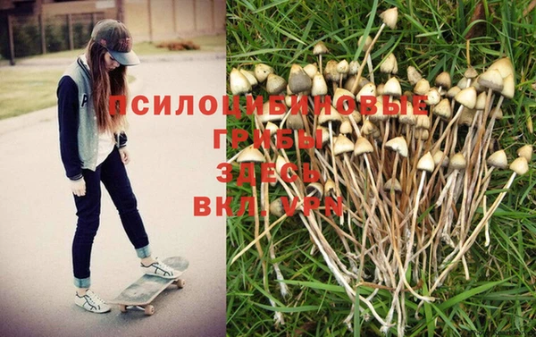спиды Абаза