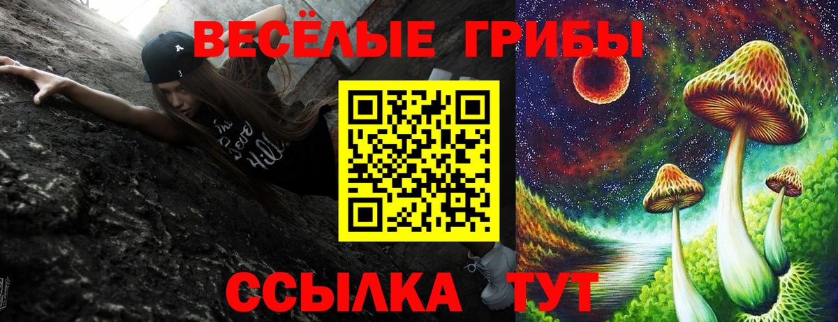 Александров  что такое   Вход с VPN  Псилоцибиновые грибы Cubensis  Псилоцибиновые грибы Magic Shrooms 