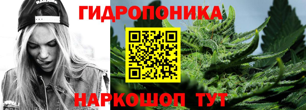 Каннабис сатива Александров