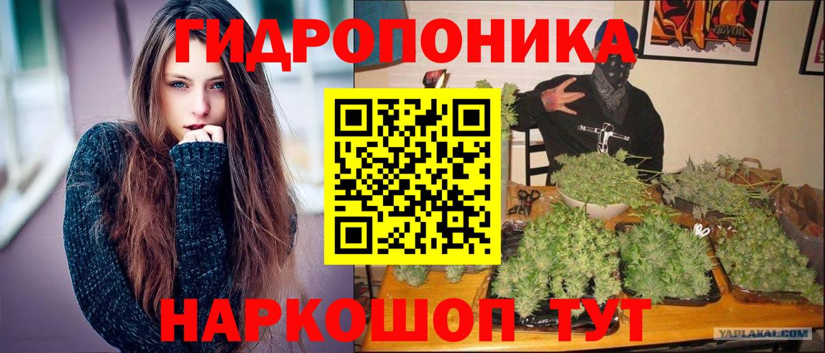 Марихуана индика  Вход с VPN  Александров  Бошки марихуана марихуана 